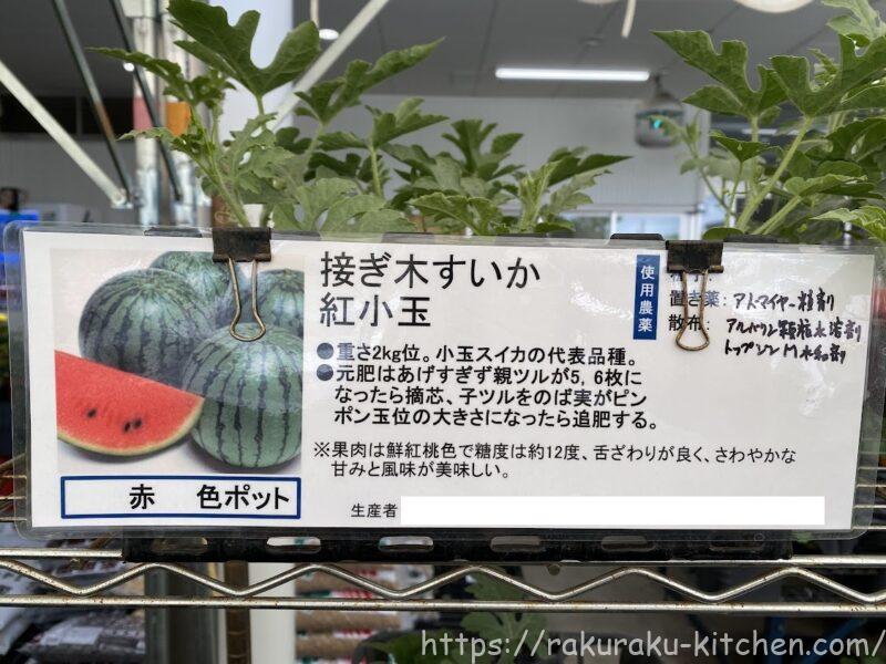 22年 スイカ プランター栽培の記録 らくらくキッチンのブログ 22年 スイカ プランター栽培の記録 らくらくキッチンのブログ